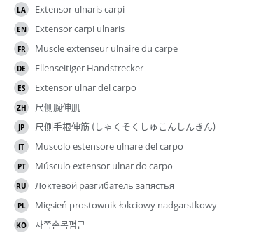 翻译