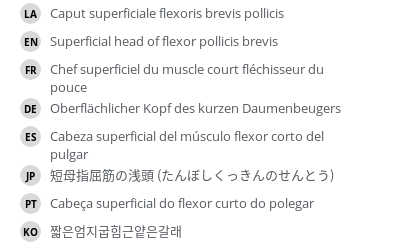 翻译