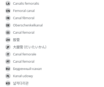 翻译