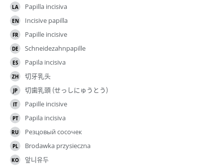 翻译