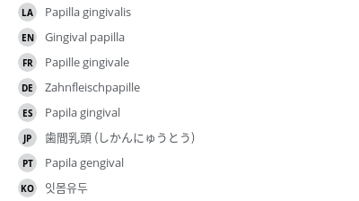 翻译