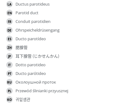 翻译