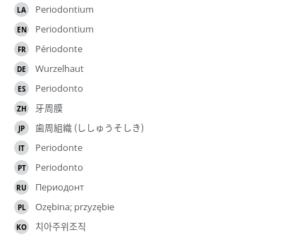 翻译