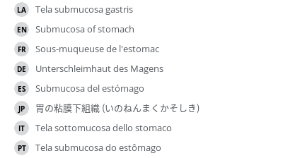 翻译