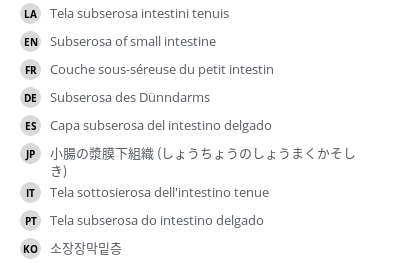 翻译