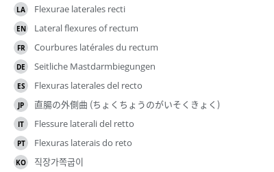 翻译