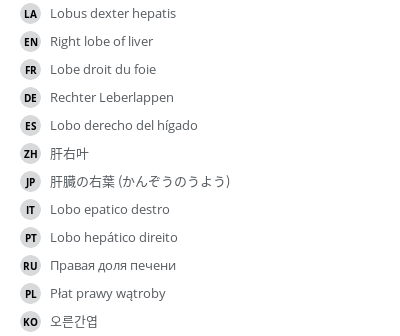 翻译