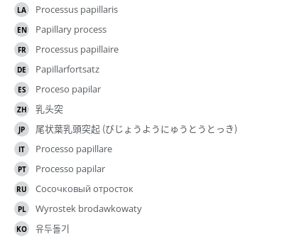 翻译