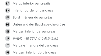 翻译
