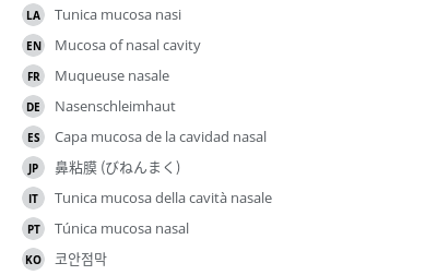 翻译