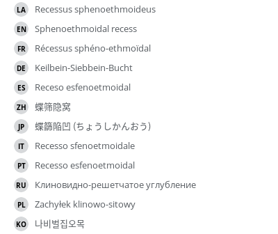 翻译