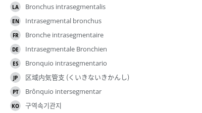翻译