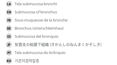 翻译
