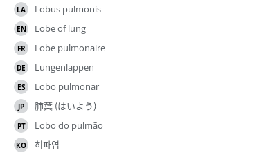 翻译