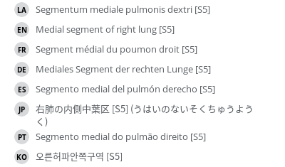 翻译
