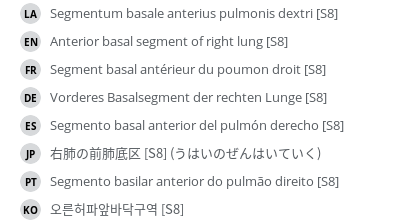 翻译
