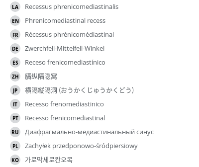 翻译