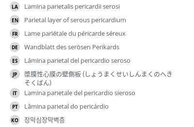 翻译