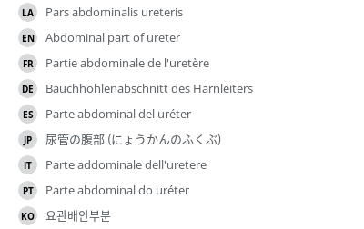 翻译