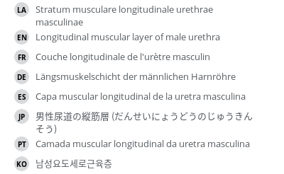 翻译