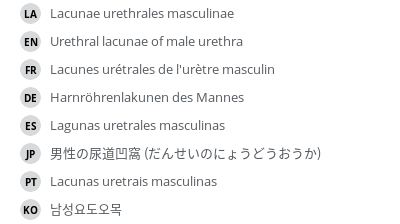 翻译