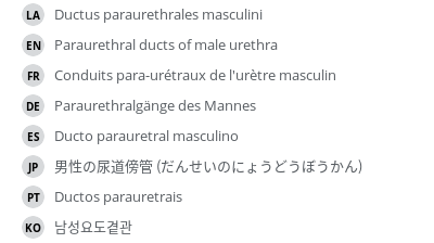 翻译