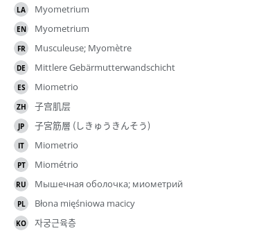 翻译