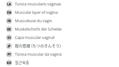 翻译