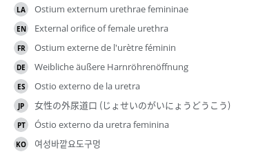 翻译