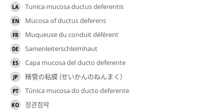 翻译