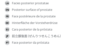 翻译