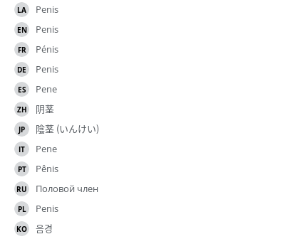 翻译