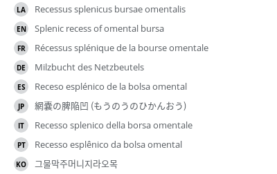 翻译