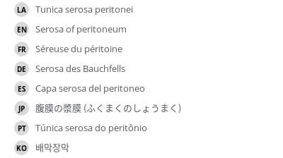 翻译