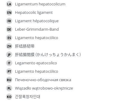 翻译