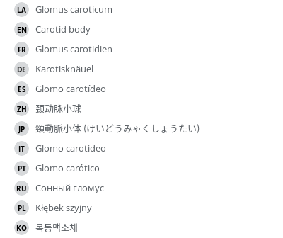 翻译