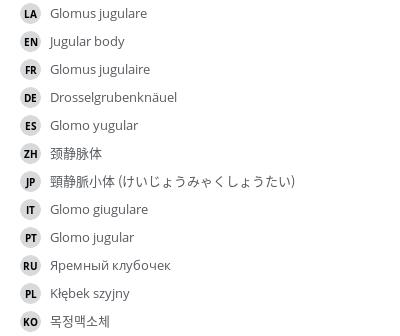 翻译