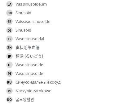 翻译