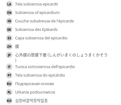 翻译