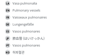 翻译