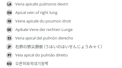 翻译