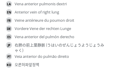 翻译