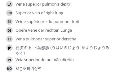 翻译