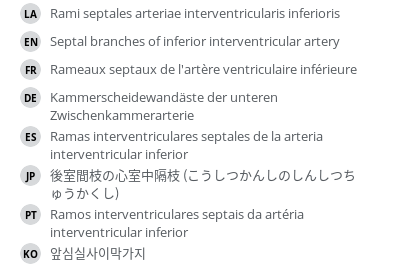 翻译
