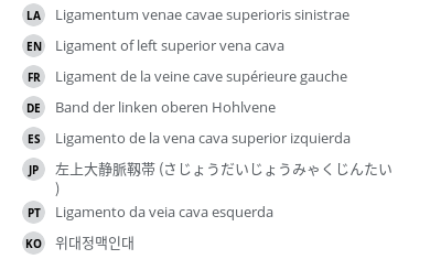 翻译