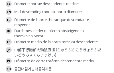 翻译