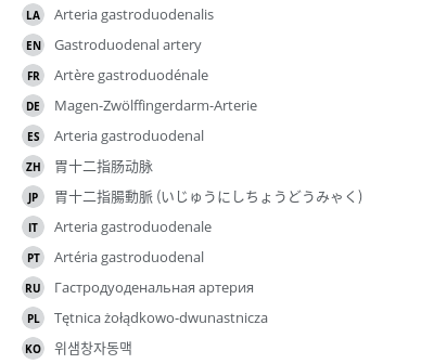 翻译