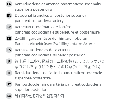 翻译