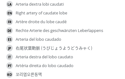 翻译