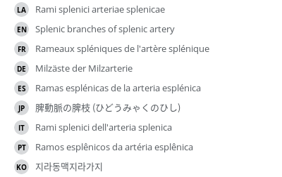 翻译